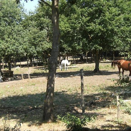 Difenza Cappella Villa San Giuliano del Sannio Dış mekan fotoğraf